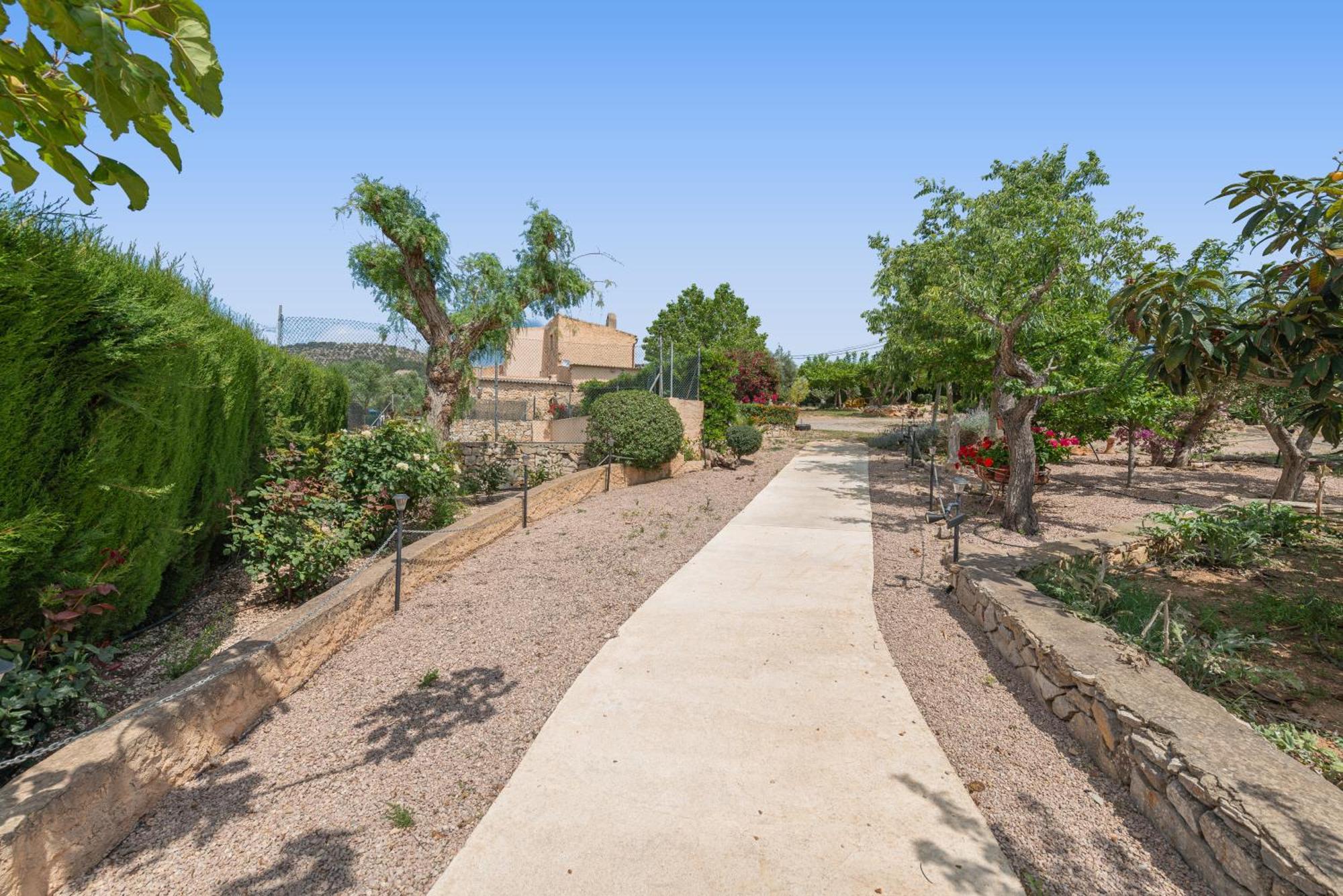Villa Rural Carrasco La Sigarra Сон-Масия Экстерьер фото